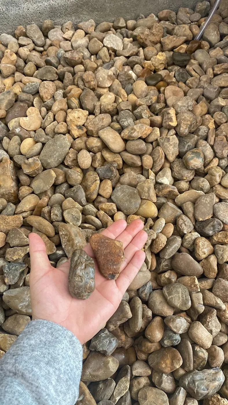 Pedras de Seixo Marrom na mão sobre o estoque
